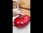 Video 1 for Staub Enameled Cast Iron Tomato Cocotte, 3-Qt