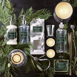 Williams Sonoma Winter Forest Seasonal Hand Lotion