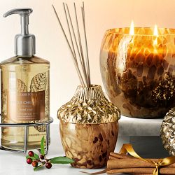 Williams Sonoma Spiced Chestnut Hand Soap &amp; Lotion 3-Piece Set
