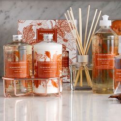 Williams Sonoma Pumpkin Spice Hand Lotion