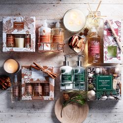 Williams Sonoma Pumpkin Spice Guest Set