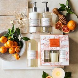 Williams Sonoma Sunny Orange Citrus Candle