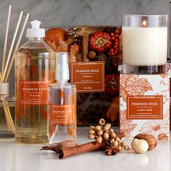 Williams Sonoma Pumpkin Spice Candle