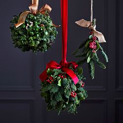 Holly Kissing Ball
