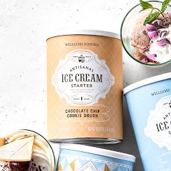 Williams Sonoma Ice Cream Starter, Chocolate Chip Cookie Dough