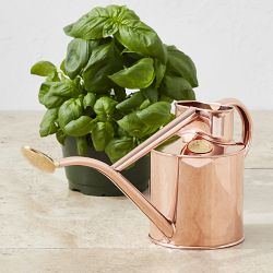 Haws Indoor Watering Can