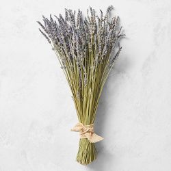 Lavender Bunch