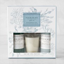 Williams-Sonoma Fleur De Sel Guest Set