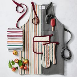 Williams Sonoma Autumn Stripe Oven Mitt &amp; Potholder Set