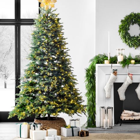 Christmas Trees
