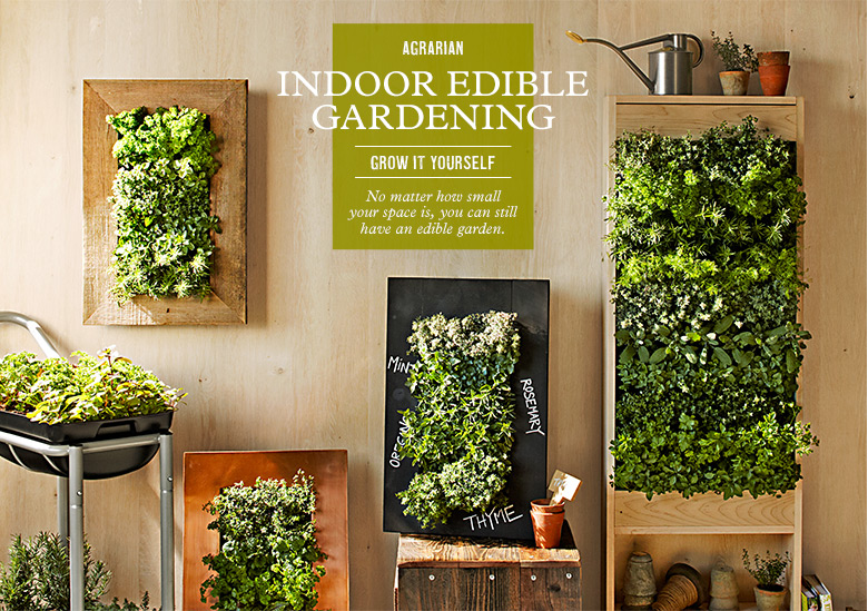 Indoor Edible Gardening
