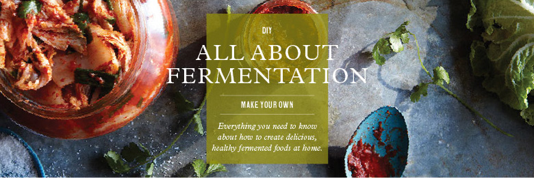 All About Fermentation