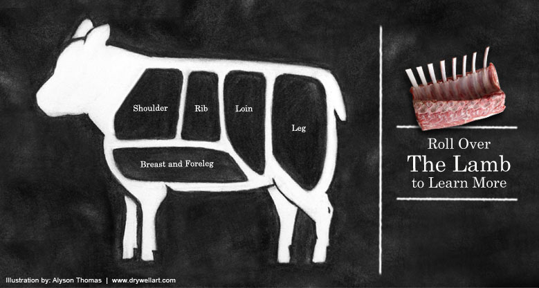 Roll Over The Lamb to Learn More