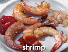 shrimp