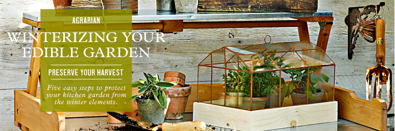 Winterizing Your Edible Garden