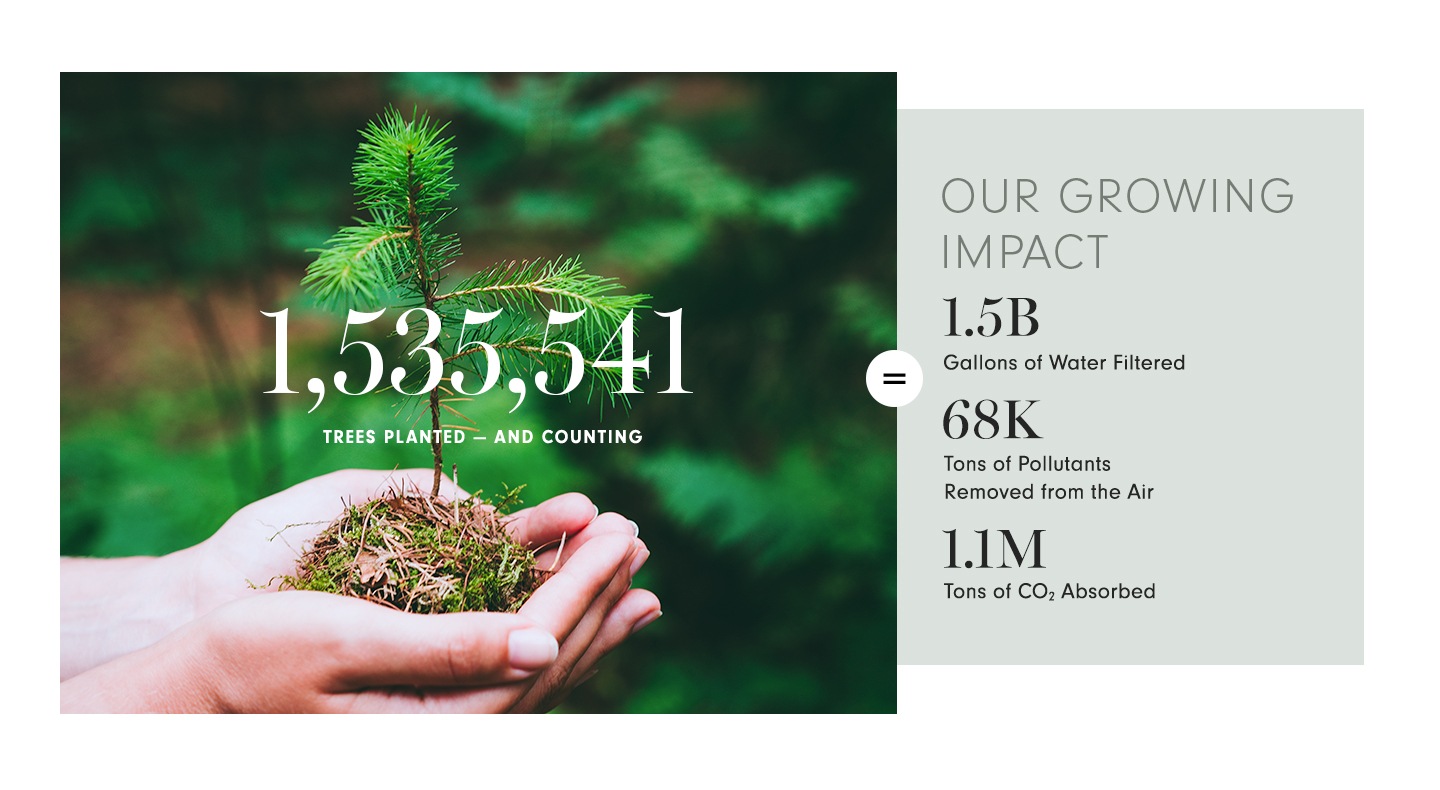 Our Growing Impact with Trees Planted