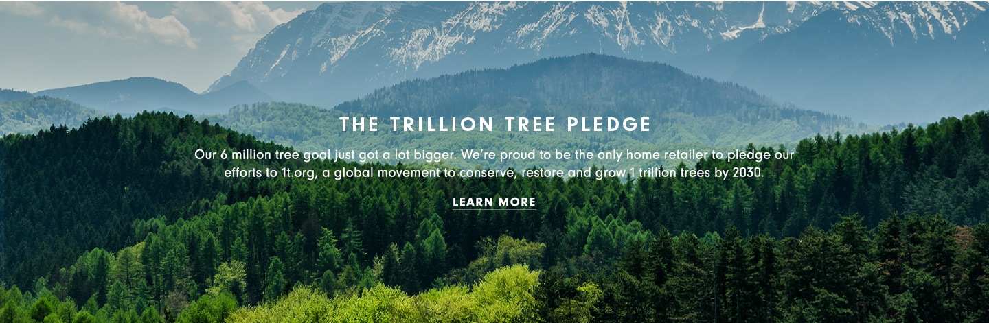 The Trillion Tree Pledge - Learn More >