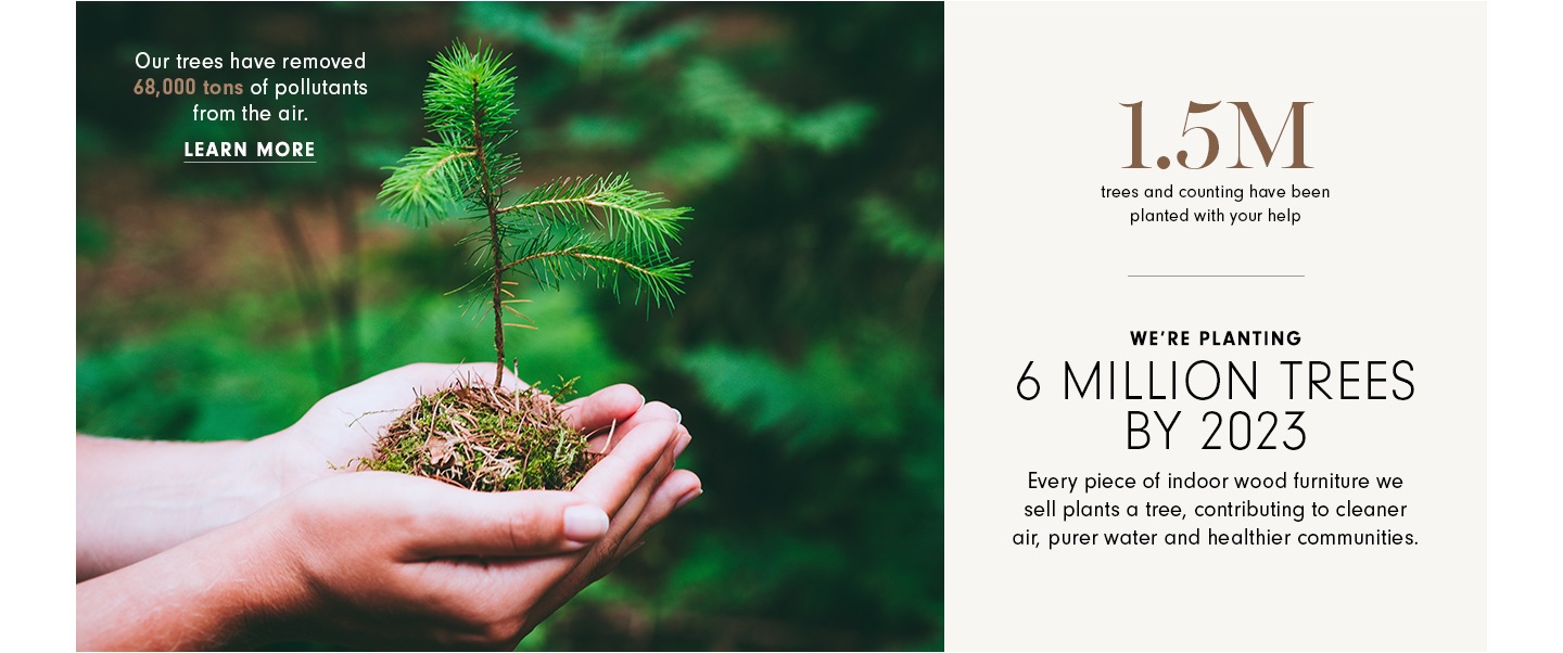 Williams Sonoma x Arbor Day Foundation >