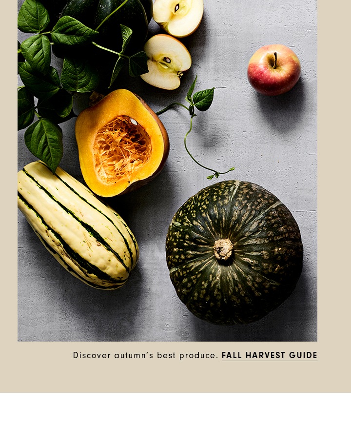 Fall Harvest Guide