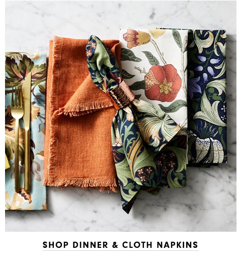 Shop Dinner & Cloth Napkins >