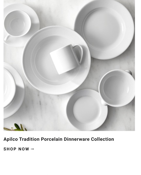Apilco Tradional Porcelain >