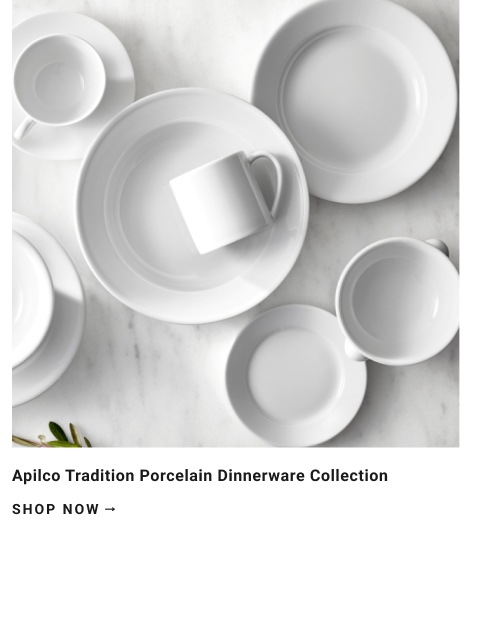 Apilco Tradition Porcelain Dinnerware Collection >