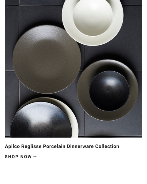 Apilco Reglisse Dinnerware Collection >