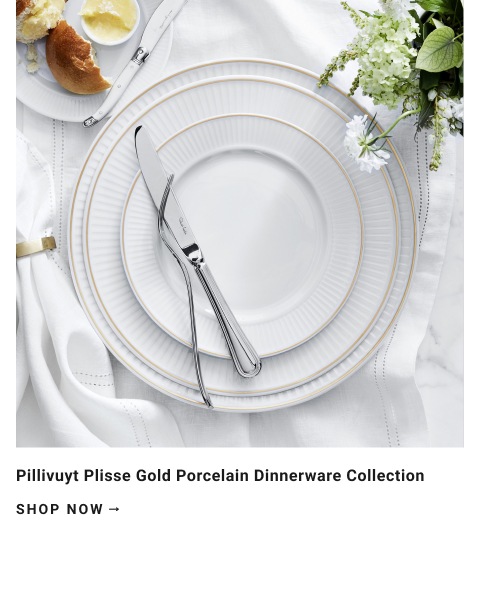 Pillivuyt Gold Porcelain >