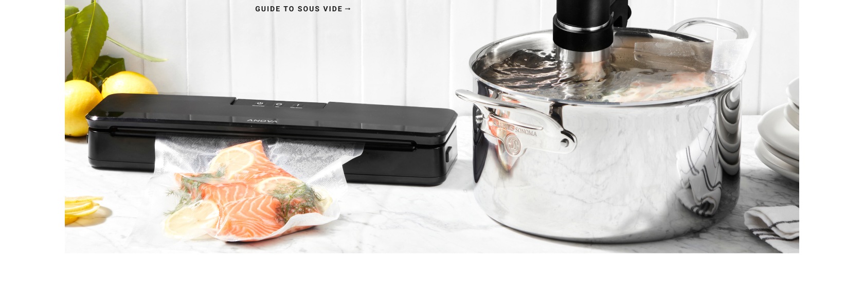 Guide to Sous Vide Cooking