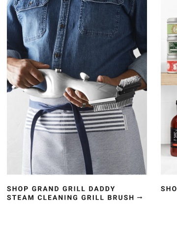 Shop The Grand Grill Daddy Steam Cleaning Grill Brush