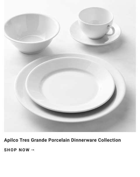 Apilco Tres Grande Dinnerware Collection >