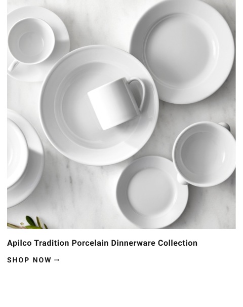 Apilco Tradition Porcelain Dinnerware Collection >