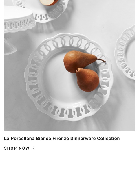 La Porcellana Bianca Dinnerware Collection >