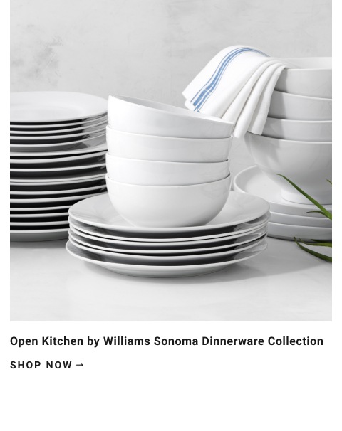 Open Kitchen by Williams Sonoma 
