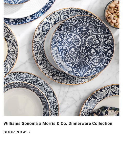 Williams Sonoma x Morris & Co. Dinnerware Collection