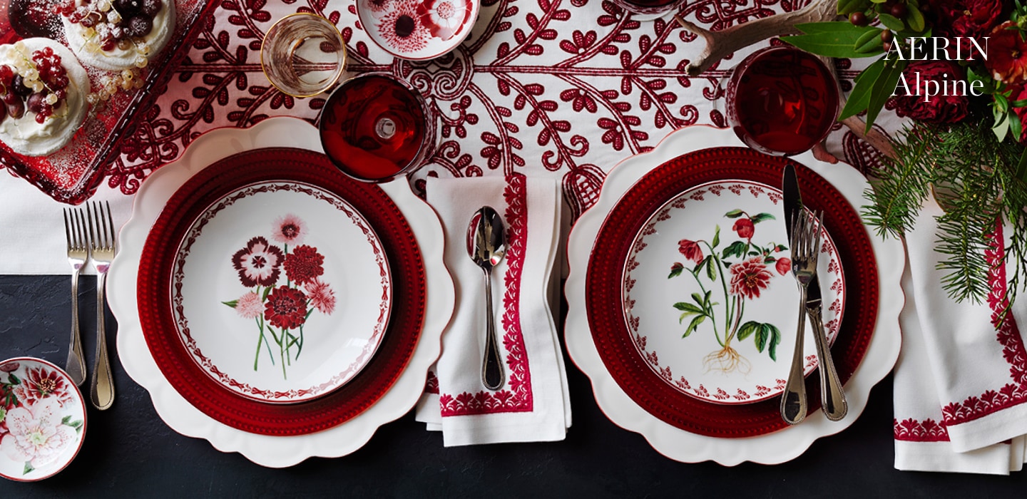 AERIN Alpine Dinnerware Collection