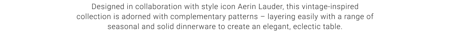 Aerin Alpine Dinnerware Collection