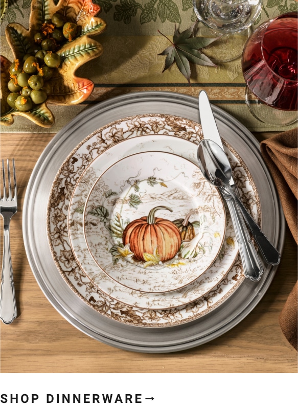 Shop Dinnerware