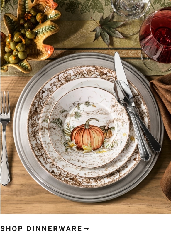 Shop Dinnerware