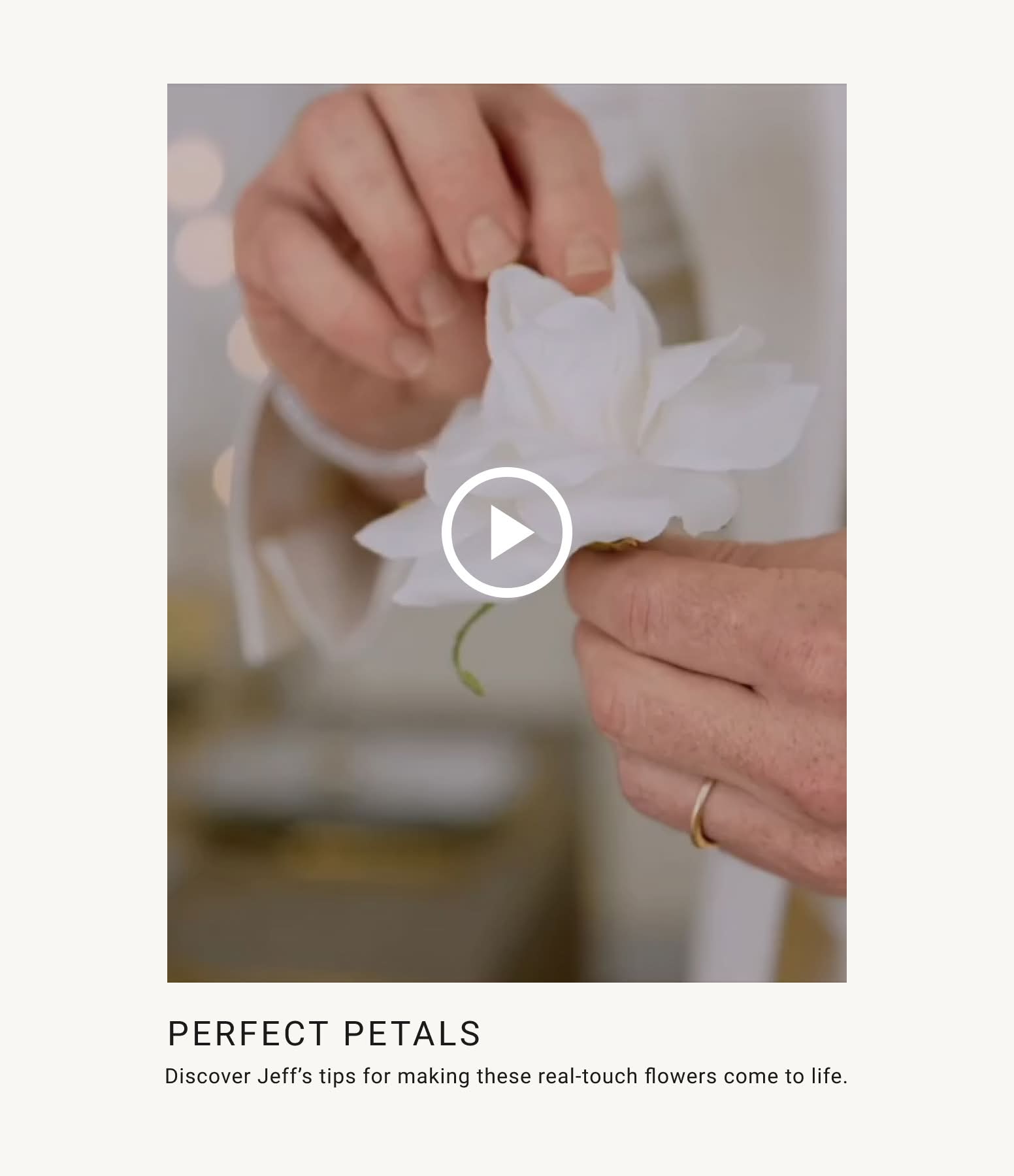 Jeff Leatham | Rose Buds