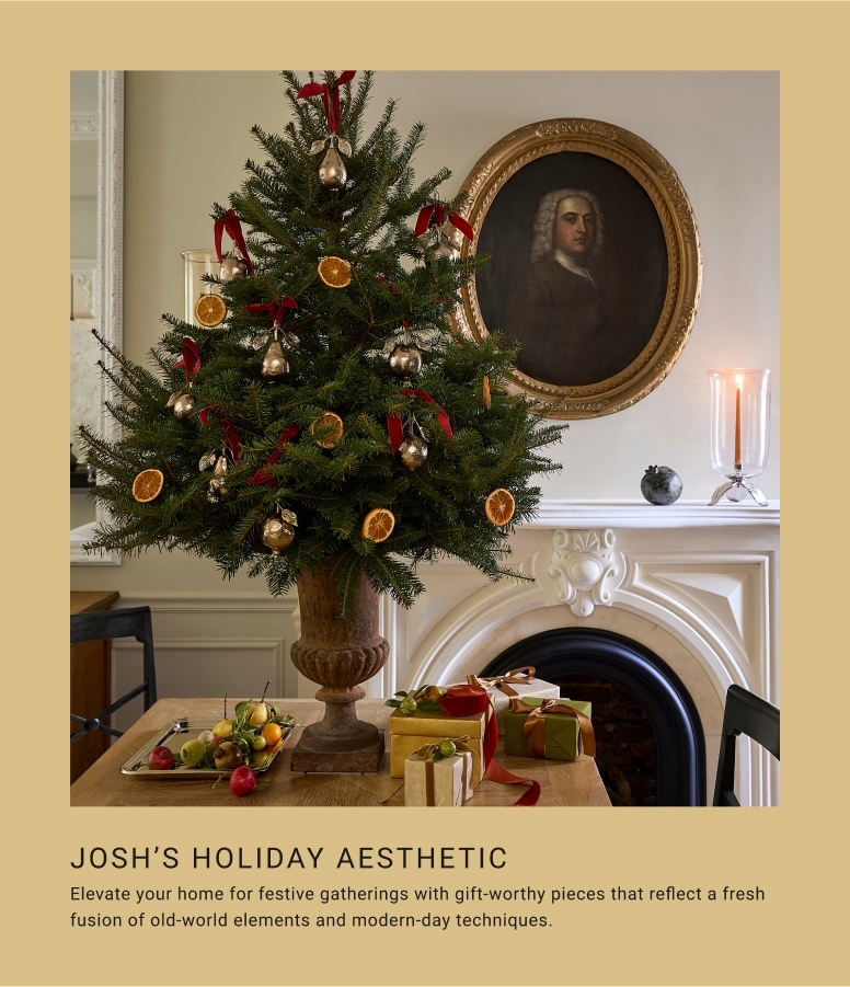 Josh's Holiday Aesthetic