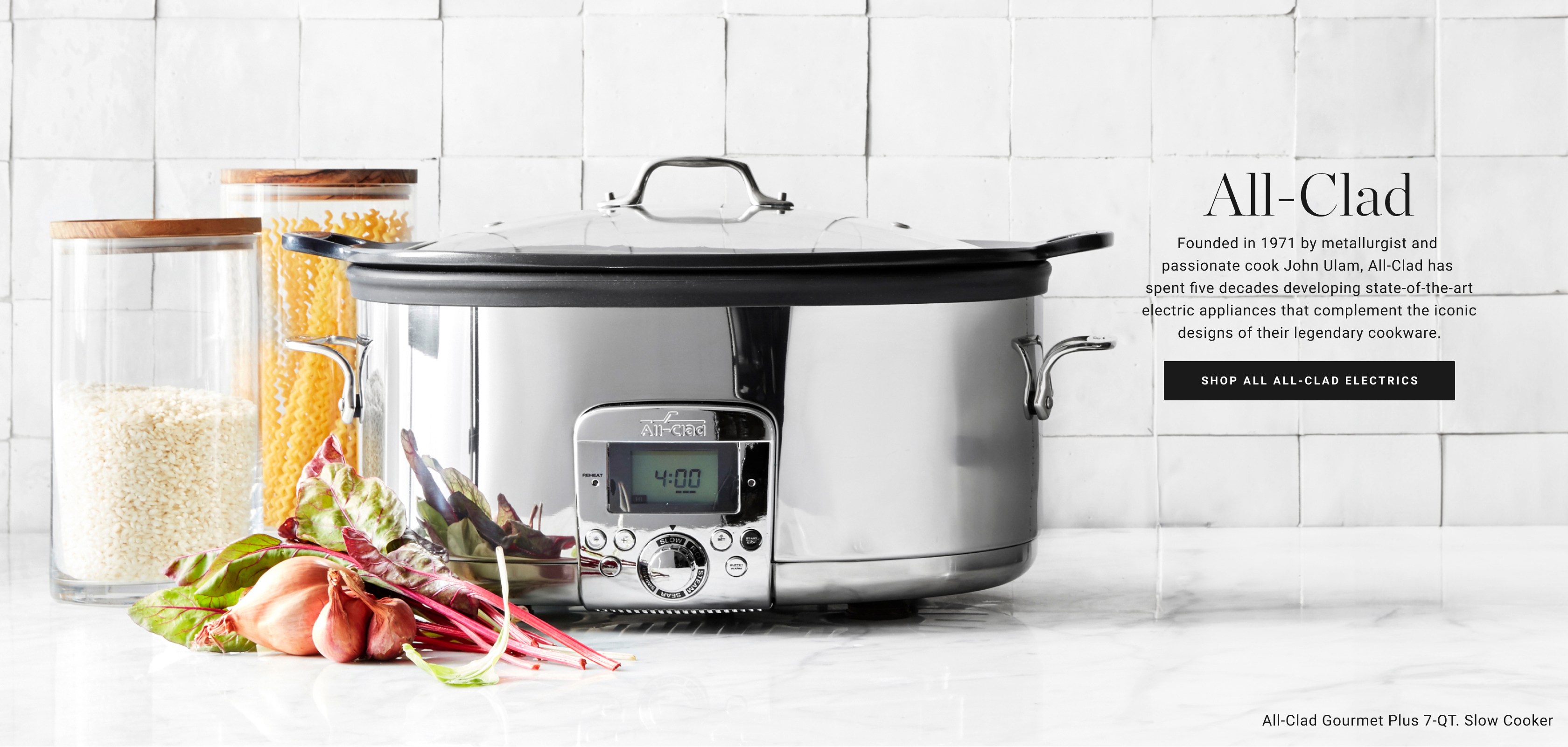 Shop All All-Clad Electrics