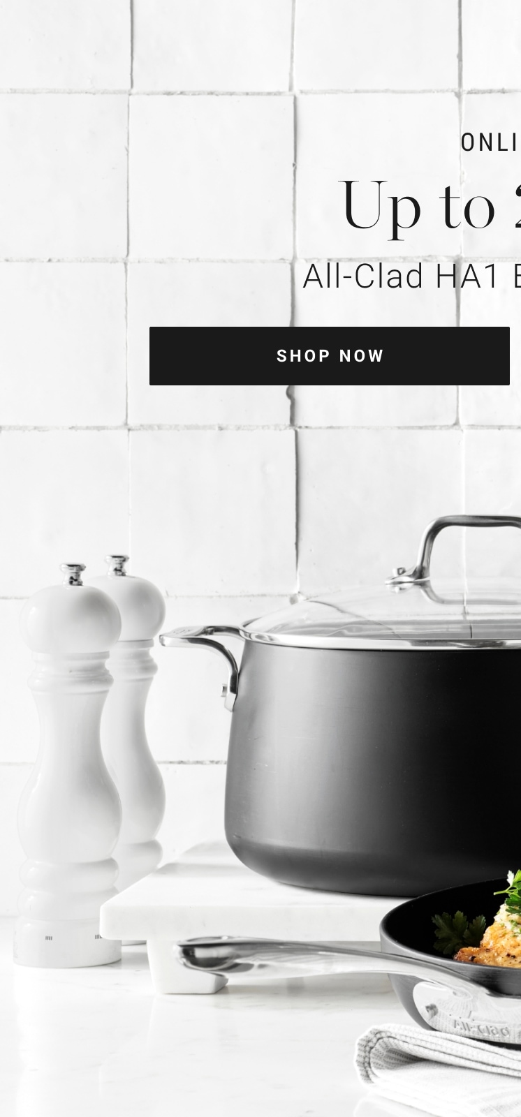 Shop All-Clad HA1 Expert Cookware