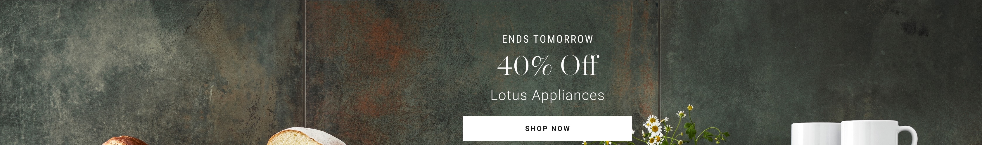 40% Off Lotus Appliances