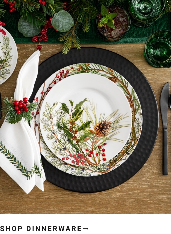 Shop Dinnerware