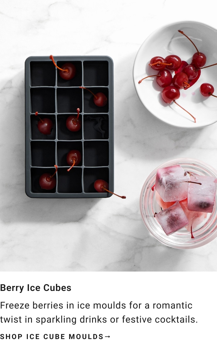 Shop Ice Cube Moulds