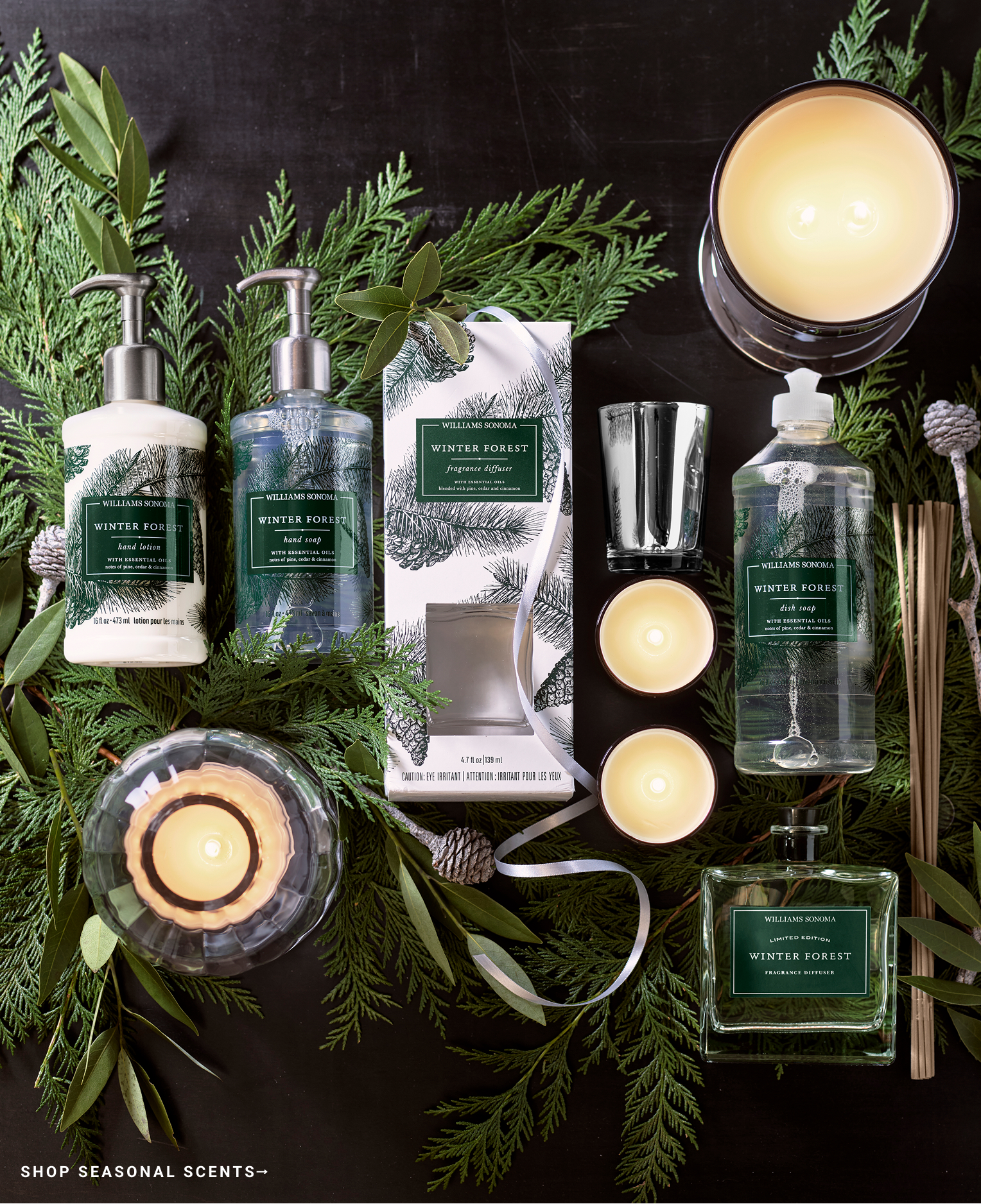 Shop Seasonal Scents