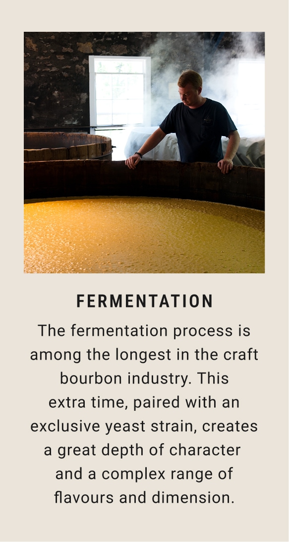 Fermentation