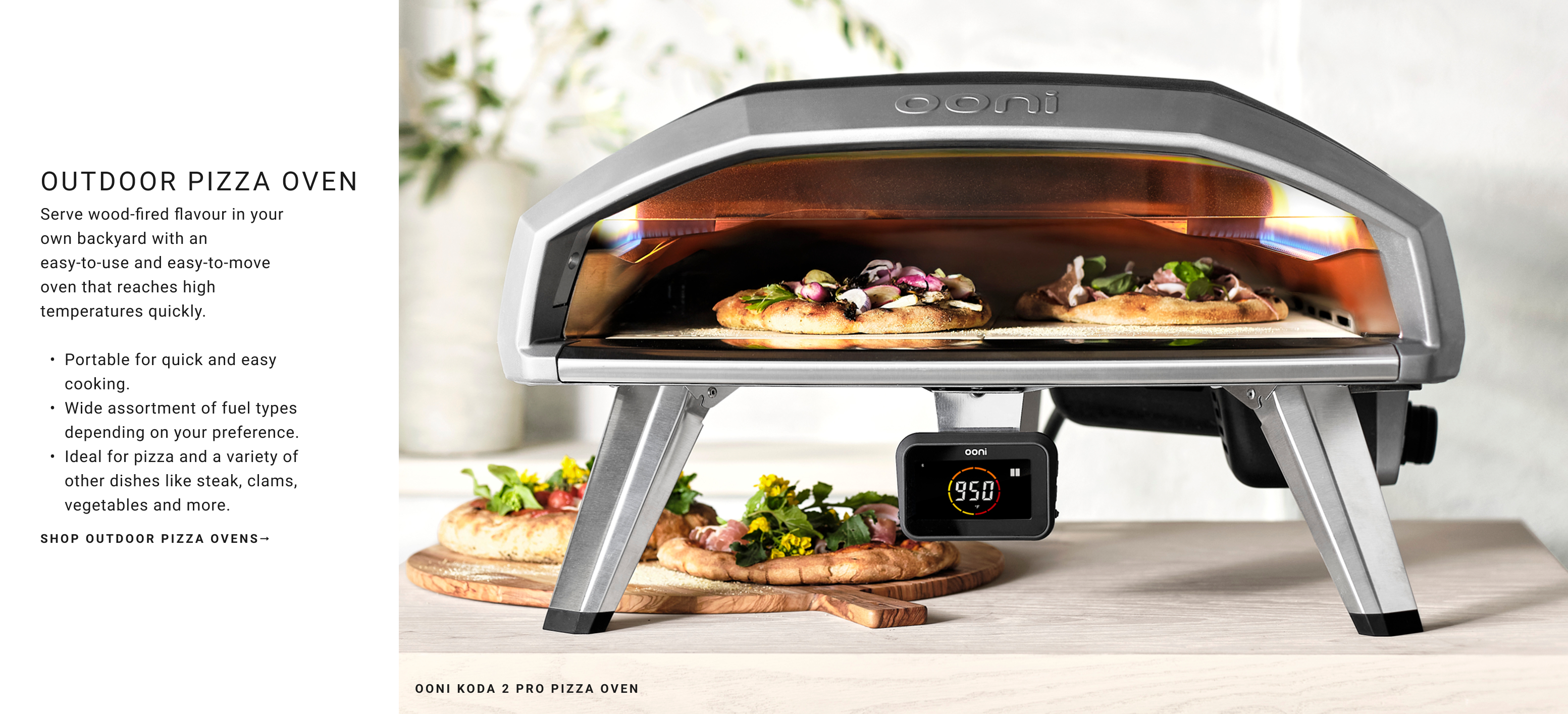 Shop Outdoor Pizza Ovens