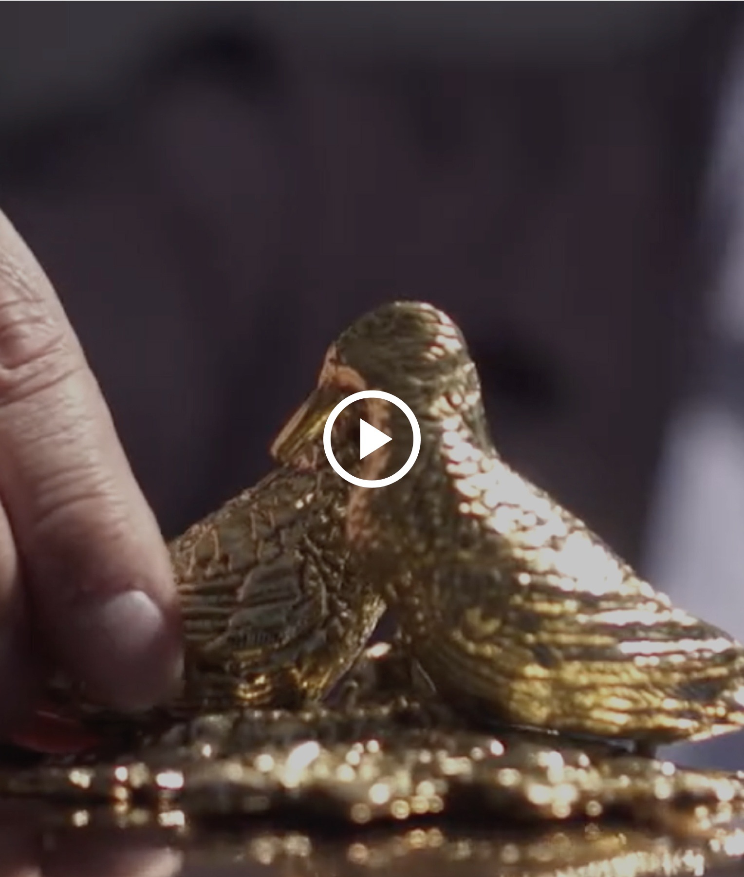 Ruffoni Brand Video